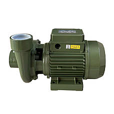 Насос відцентровий BP-3 0,75 кВт SAER (25,0 м3/год, 21.5 м) однофазний, фото 3