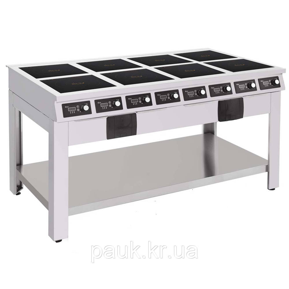 Індукційна плита ПІ-8.2-28, професійна плита індукційна, промислова індукційна плита на 8 конфорок, фото 1