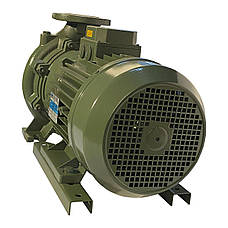 Насос моноблоковий IR 50-200B 11 кВт SAER (70 м3/год, 58 м), фото 5