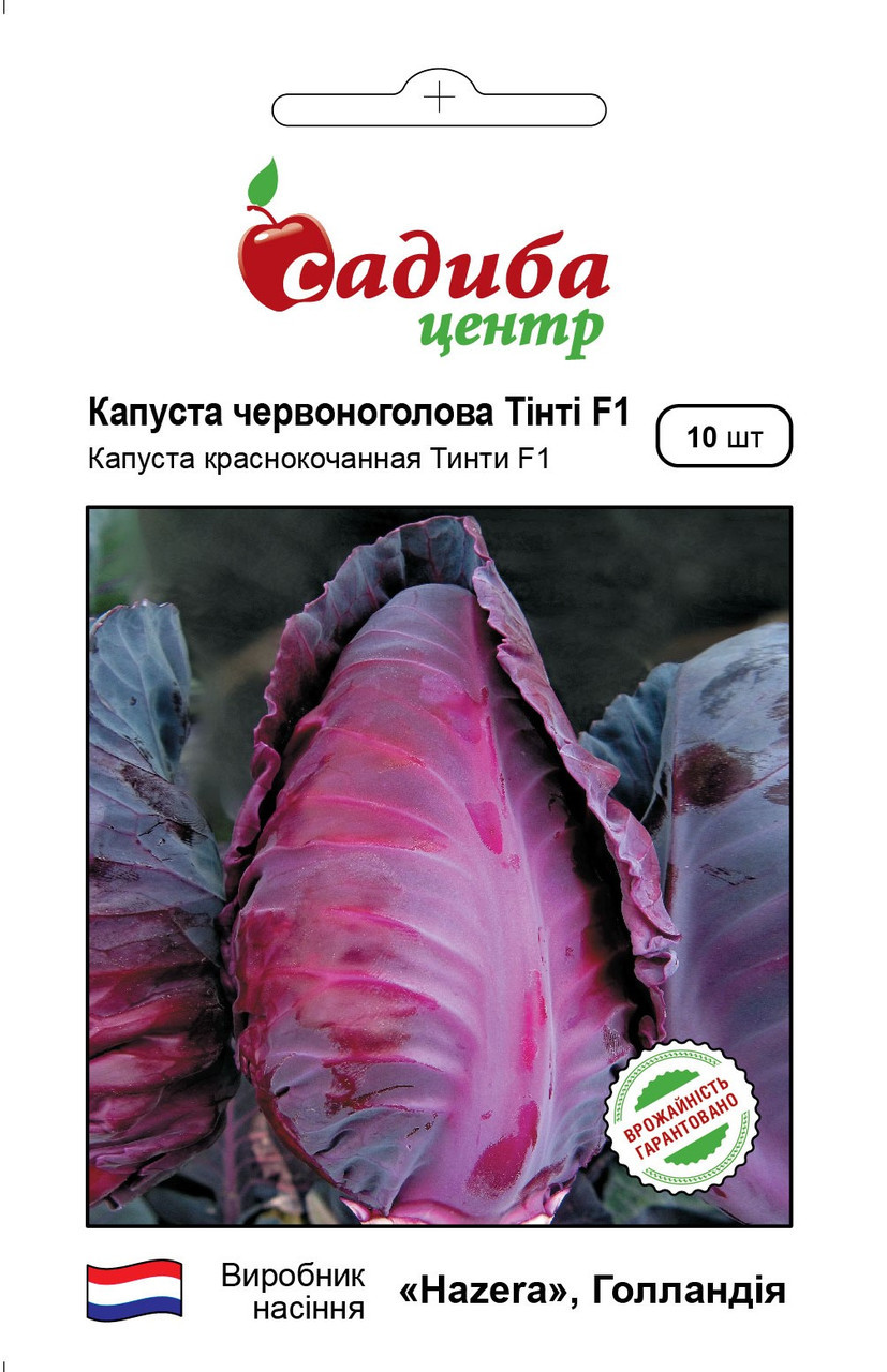 Купить Гибрид среднеспелой капусты коническая Тинти, пакетированные ...