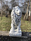 Набір садових сірих Левів лівий та правий, скульптури Левів для декору,  статуетка Лева, 34 см, фото 7