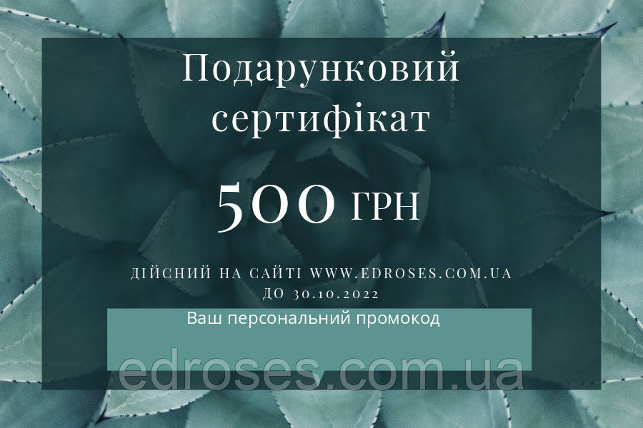 Подарунковий Сертифікат 500 (електронний )