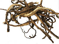 Корень Бедренеца камнеломкового (radix Pimpinella saxifraga), 50 грамм