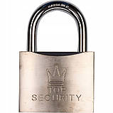 Замок навісний Richmann латунне осердя загартована дуга 60 мм 3 ключі (C9326), фото 2