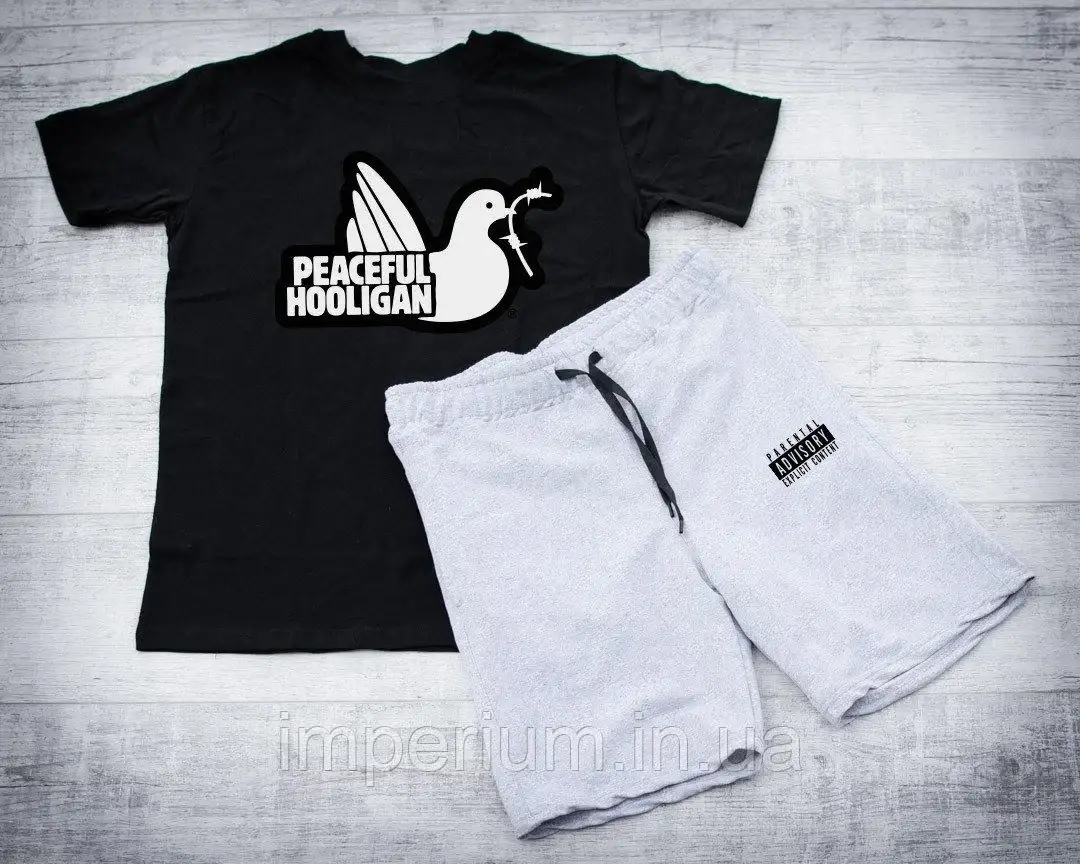 Спортивний літній костюм peaceful hooligan | стильний комплект футболка та шорти the north face