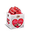 Цукерки Шоколадні Сокадо Асорті Праліне Socado Passion Chocobox Assorted 250 г Італія, фото 3