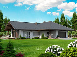 MS-025. Великий будинок із корисним чорнковим простором