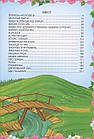 Королівство казок: Казки українські народні 21х30см 224стор (укр) арт.8905, фото 9