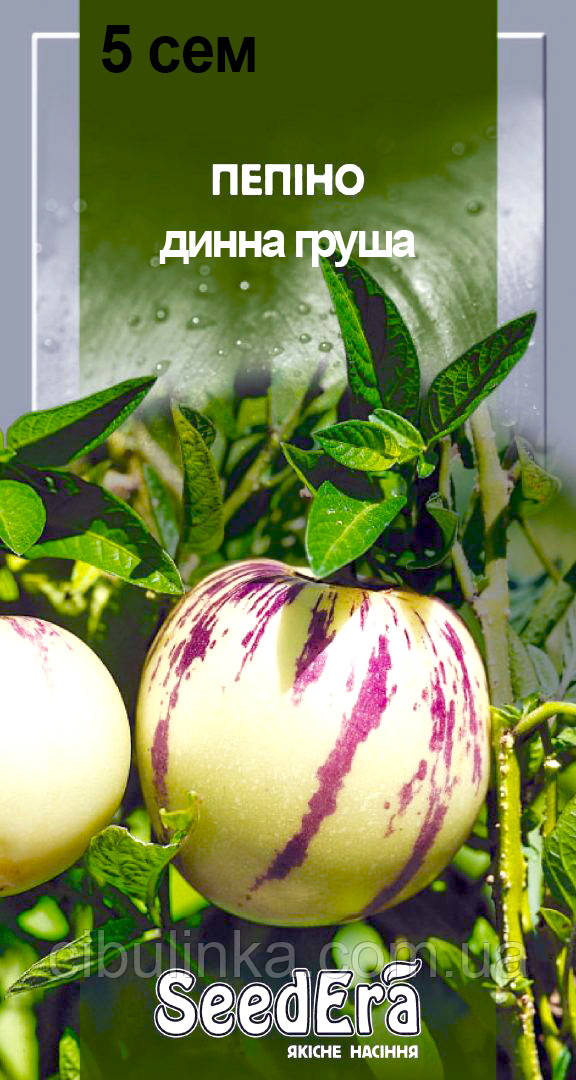 Пепіно (динна груша) SeedEra 5 шт, фото 1