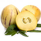 Пепіно (динна груша) SeedEra 5 шт, фото 3