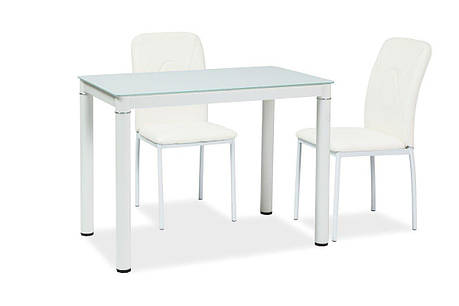 Стіл GALANT білий/білий каркас 100*60, фото 1