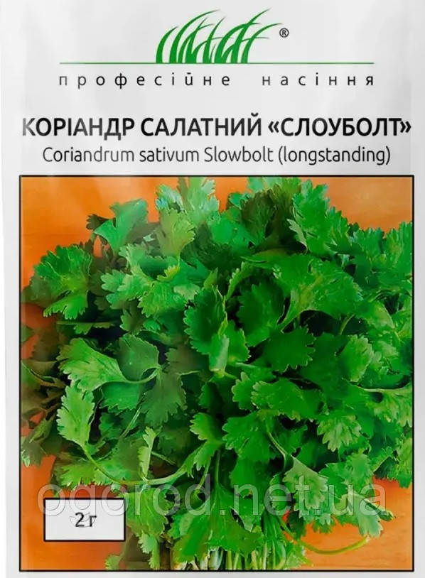 Коріандр(Кінза) Слоуболт Hem Zaden, Голландія 2 грами