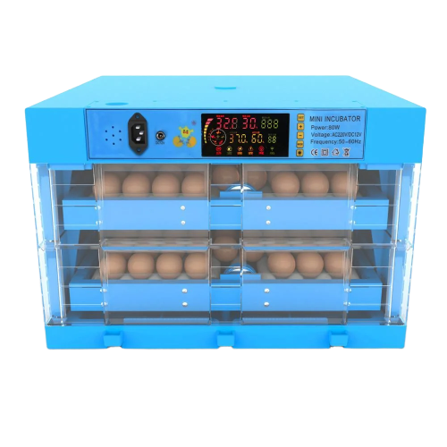 Інкубатор автоматичний 120-B (220/12в), фото 1