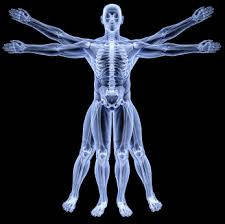 Анатомо-фізіологічна модель людини. Оптимізація тіла. Антропометрія і соматоскопия (очно та онлайн)