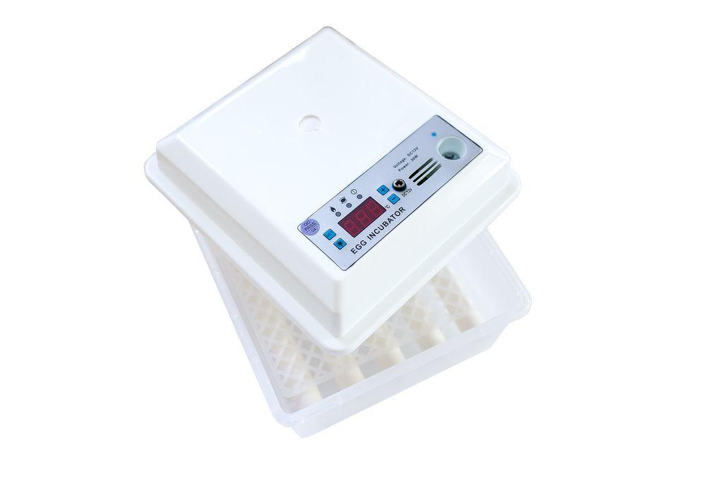 Інкубатор автоматичний (220/12В з роликовим переворотним механізмом), фото 1