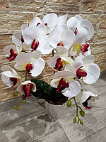 Латексные орхидеи для декора дома