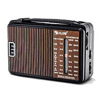 Радіоприймач FM Радіо GOLON RX-A608AC