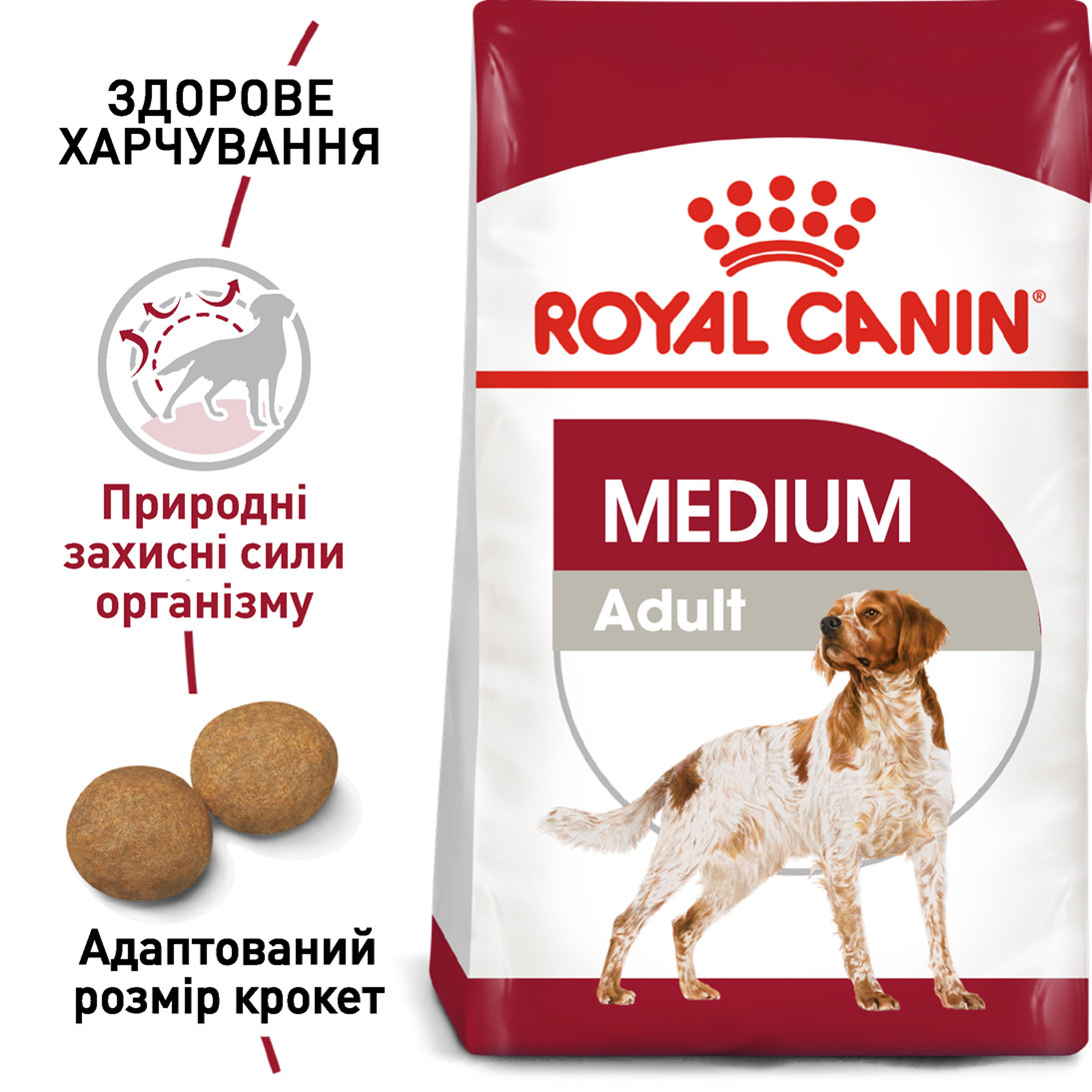 Royal Canin Medium Adult сухий корм для собак середніх порід від 12 місяців, 4КГ