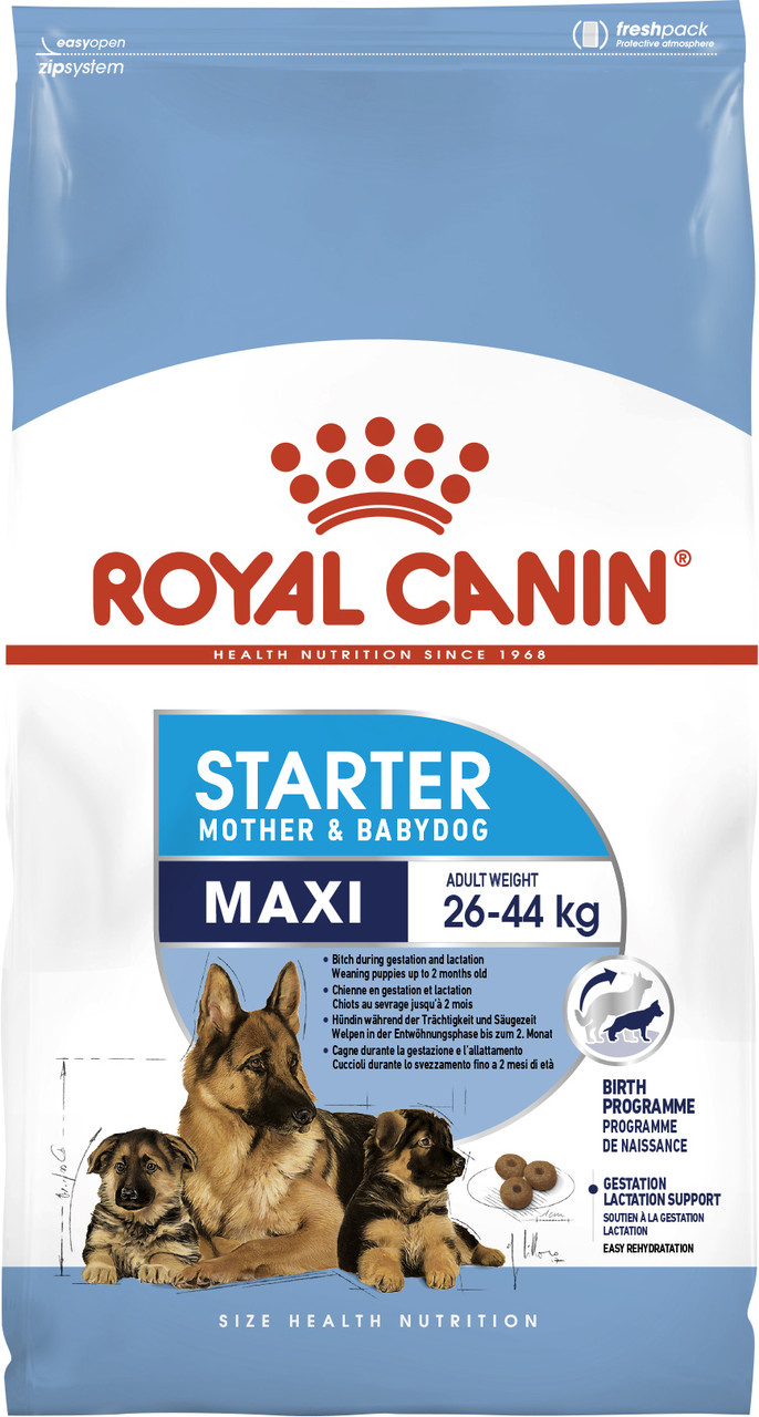 Royal Canin Maxi Starter сухий корм для цуценят до 2 місяців, вагітні і годуючі суки 1КГ