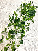Штучна , ампельна фітонія  ( 105 см ), фото 6