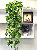 Штучна , ампельна фітонія  ( 105 см ), фото 4