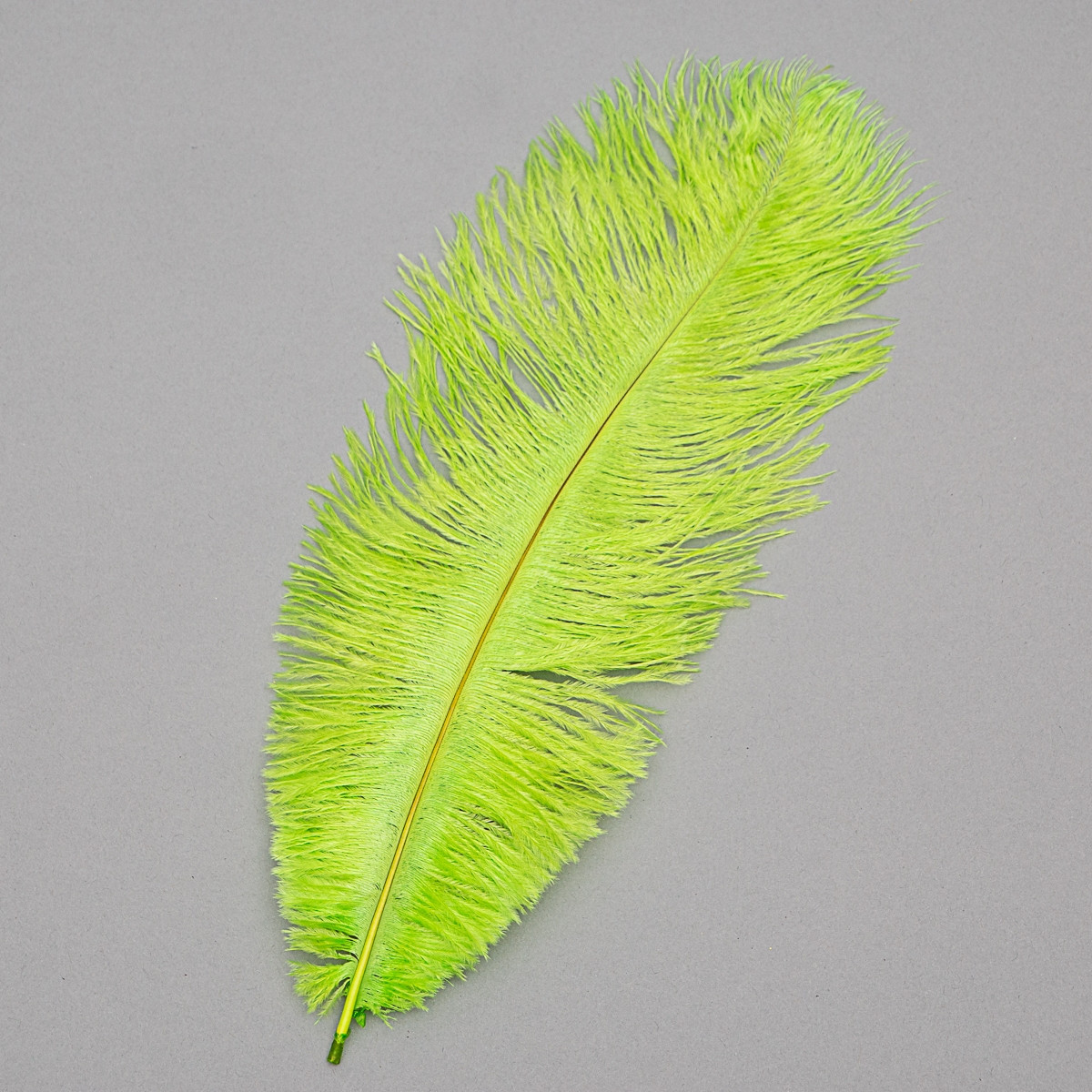 Набір з 10 одиниць. Страусове перо 25-30 см салатовий (8501-002/light-green), Elisey