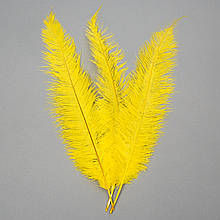 Набір з 5 одиниць. Страусове перо 55 см (8501-001/yellow), Elisey