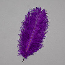 Набір з 10 одиниць. Страусове перо 25-30 см фіолетовий (8501-002/purple), Elisey