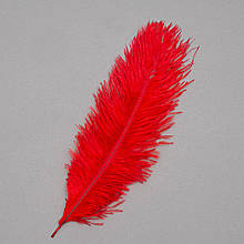 Набір з 10 одиниць. Страусове перо 25-30 см червоний (8501-002/red), Elisey