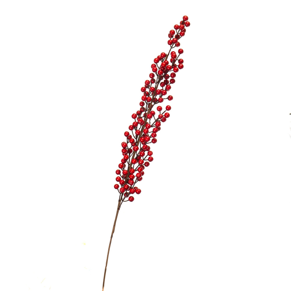 Набір з 3 одиниць. Кизильник Корал Бьюті, червоний 1 м (5000-005/RED), Elisey