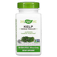 Ламинария Nature's Way, Kelp, Whole Thallus, 600 mg, 180 Vegan Capsules - Оригинал