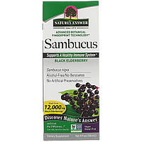 Бузина Nature's Answer, Sambucus, Black ElderBerry, 12,000 mg, 4 fl oz (120 ml) - Оригинал