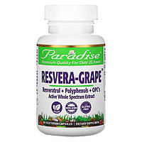 Ресвератрол Paradise Herbs, ResveraGrape, 60 Vegetarian Capsules - Оригинал