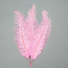Набір з 5 одиниць. Страусове перо 55 см рожевий (8501-001/pink), Elisey