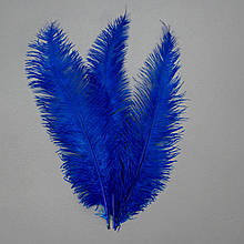Набір з 5 одиниць. Страусове перо 55 см синьо-фіолетовий (8501-001/blue-violet), Elisey