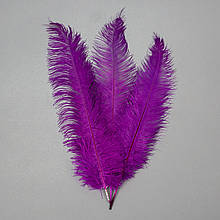 Набір з 5 одиниць. Страусове перо 55 см фіолетовий (8501-001/purple), Elisey