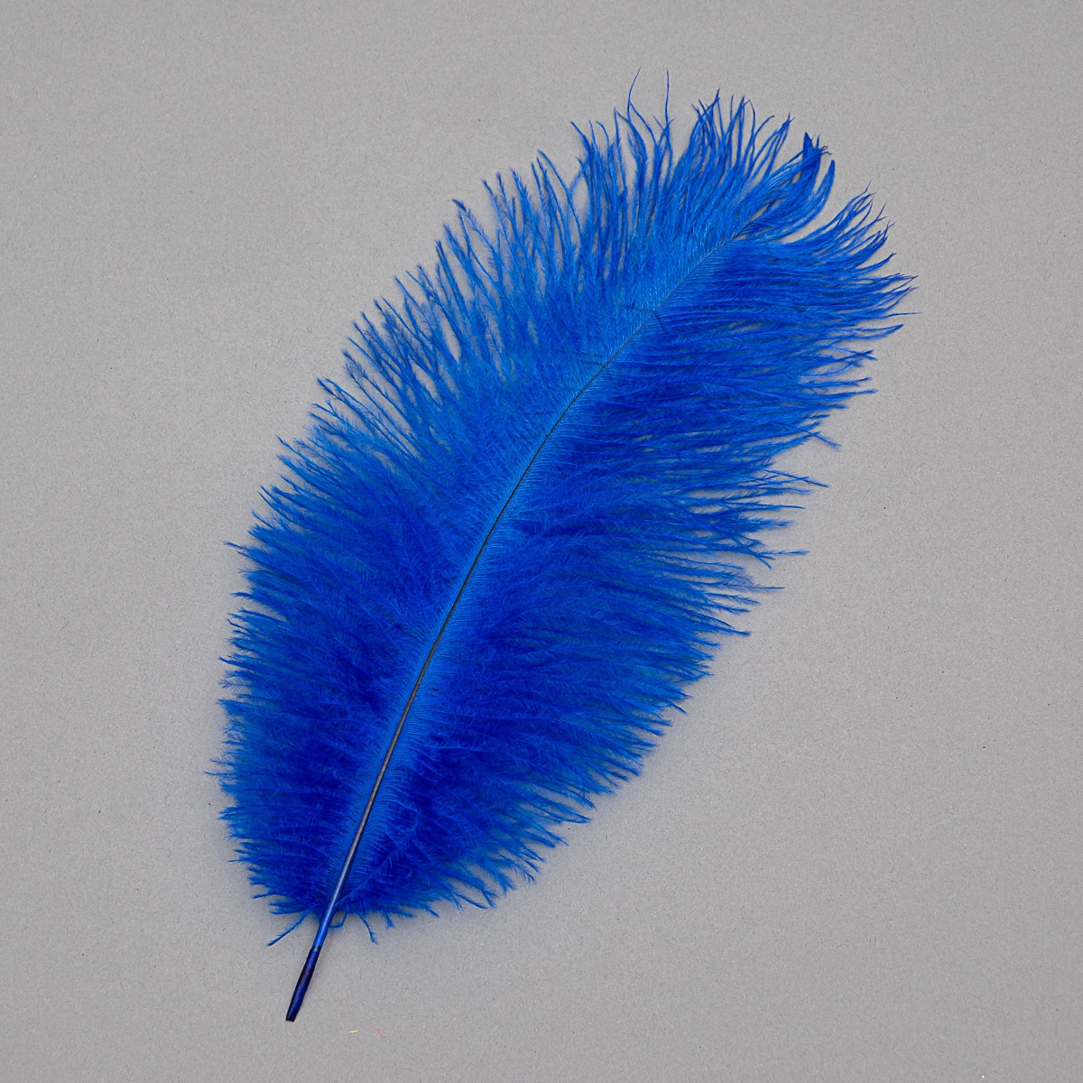Набір з 10 одиниць. Страусове перо 25-30 см синьо-фіолетовий (8501-002/blue-violet), Elisey