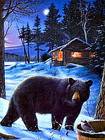 Алмазная Мозаика Медведь в Ночном Лесу Набор Вышивки DIY-1259 30x40см (Полная Выкладка)