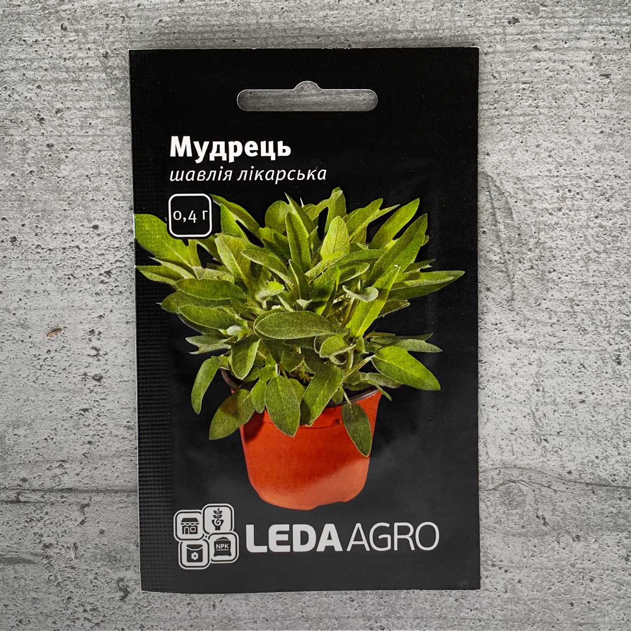 Шавлія лікарська Мудрець 0,4 г насіння пакетоване Leda Agro