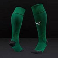 Футбольні гетри Team LIGA Socks (зелені) 70343822
