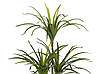 Рослина штучна в горщику 147 см DRACAENA ANITA, фото 6