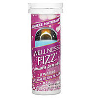 Препарат на основе трав Source Naturals, Иммуностимулирующее средство Wellness Fizz, со вкусом натуральных