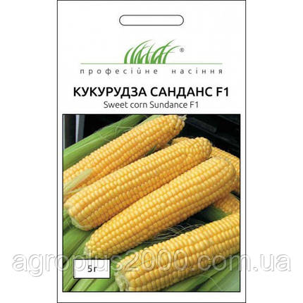Насіння Кукурудза цукрова Санданс F1, 5 грамів Професійне насіння, фото 1