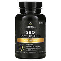 Dr. Axe / Ancient Nutrition, SBO Probiotics, средство для восстановления кишечника, 25 млрд КОЕ, 60 капсул -