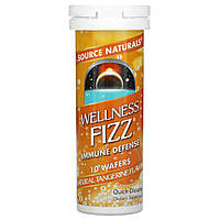 Source Naturals, Wellness Fizz, с натуральным вкусом мандарина, 10 шипучих таблеток - Оригинал