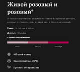Гортензія метильчаста Living Pink&Rose с2, фото 4