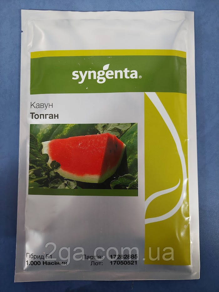 ТОП ГАН F1 — Кавун, Syngenta, 1 тис, фото 1