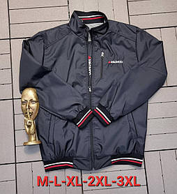 Куртка мужская ветровка норма (M-3XL) Турция оптом 88249