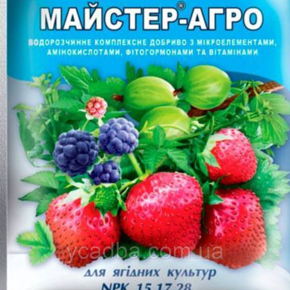 Майстер-Агро для ягідних культур 100 гр