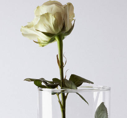 Класичні вази